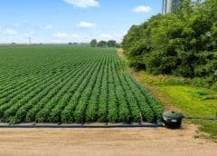 Thumbnail for PepsiCo partners N-Drip to assist farmers with water-saving irrigation technology  