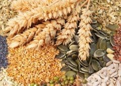 Thumbnail for Argentinian grain rallies amid unfavorable crop conditions and global and social political climate.