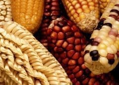 Thumbnail for Nestlé Health Science strengthens Brazilian portfolio with acquisition of natural food producer Puravida