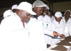 Thumbnail for Kenya based Nyayo Tea Zones Corporation commissions factory with specialty tea processing line