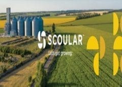 Thumbnail for Scoular launch long-term sustainable fishmeal production program