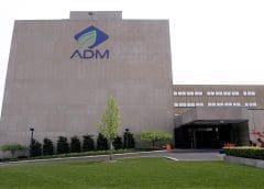 Thumbnail for ADM joins forces with New Culture to scale up alternative dairy products production and marketing