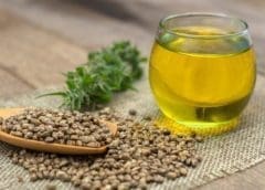 Thumbnail for FDA warns four companies of selling unapproved CBD products for food-producing animals