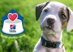 Thumbnail for Hill’s Pet Nutrition acquires Nutriamo to meet demand for wet pet food formulations in Europe