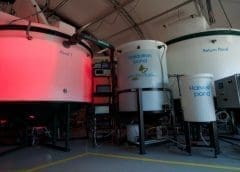 Thumbnail for Pond Technologies partners Livalta to bring algae-based animal feeds to UK market