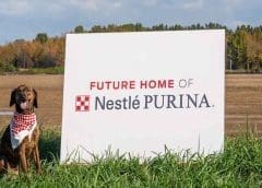 Thumbnail for Nestle supports pet care innovation with new investments in 6 promising startups