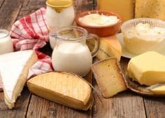 Thumbnail for #Dairy Innovation Monday: New launches from Saputo, Eclipse Foods, Danone, Danone North America, Bega, and Land O’Lakes