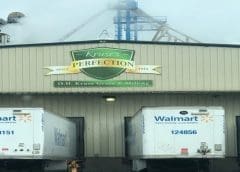 Thumbnail for Viserion strengthens international agribusiness platform with Western Milling acquisition