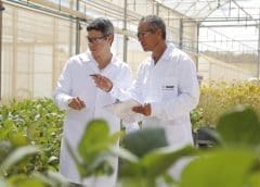 Thumbnail for Cuisine Solutions attracts US$250m funding from Bain Capital to accelerate product innovation, expand global footprint