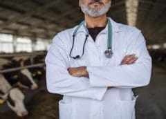 Thumbnail for Global antimicrobial use in animals on a downward trend