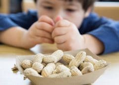 Thumbnail for People with food allergies less likely to contract COVID-19, US study finds 