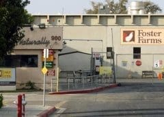 Thumbnail for Atlas Holding diversifies portfolio with acquisition of iconic poultry company Foster Farms