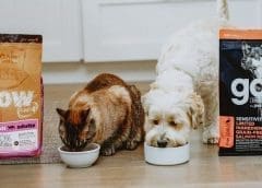 Thumbnail for Petcurean partners United Petfoods to expand European Union presence