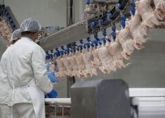 Thumbnail for Agrial acquires Rochebillard et Blein to strengthen presence in meat market