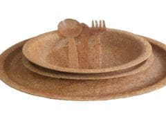 Thumbnail for GreenX Telemechanics develops edible plates as alternative to single-use plastics