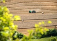 Thumbnail for Vietnam, Pakistan, Brazil grain suffer unfavorable planting conditions