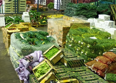 Thumbnail for Japan issues tighter labelling regulations for genetically modified product components