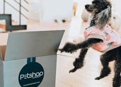 Thumbnail for Shoprite Group launches online pet store, Pick n Pay debuts premium private label collection
