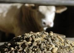 Thumbnail for General Mills on track to meet 2030 regenerative agriculture goal
