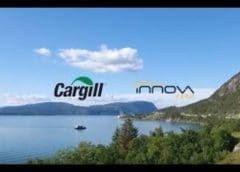 Thumbnail for Cargill, Innovafeed extend partnership on insect-based feed