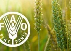 Thumbnail for Tyson Foods opens US$75 M poultry feed mill in Arkansas