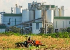 Thumbnail for EU renewable ethanol plants produce more feed than fuel in 2021