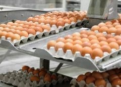Thumbnail for Rose Confectionery receives investment from Melior Equity Partners to further growth plans