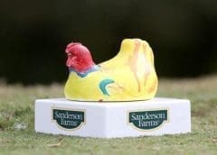 Thumbnail for Sanderson Farms’ plans to merge with Wayne Farms remain in limbo