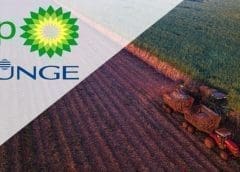 Thumbnail for FAO to augment Ethiopia food security with US$ 10m UN loan