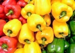 Thumbnail for SA lobby group AgriSA suggests tit-for-tat on Botswana, Namibia following ban on horticultural imports