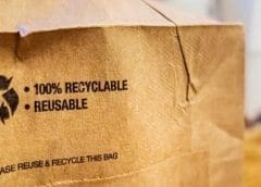 Thumbnail for Egypt, US partner to establish bio-degradable packaging factory utilizing eggshells