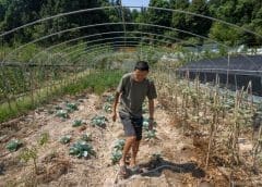 Thumbnail for China to mitigate drought impacts with chemically generated rain