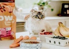 Thumbnail for Petcurean achieves scope 1 and 2 carbon neutrality