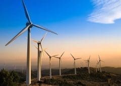 Thumbnail for Arla Foods enters into 10 year power purchase agreement with Eurowind Energy