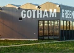 Thumbnail for Gotham Greens raises US$310m to support ambitious US expansion