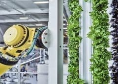 Thumbnail for Plenty Unlimited invests US$300M in indoor vertical farm to boost fresh produce production