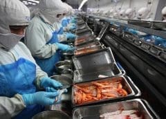 Thumbnail for Thailand invests in food-tech start-ups in hopes to become the next “food-tech Silicon Valley”