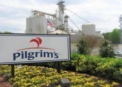 Thumbnail for Pilgrim’s UK to close two of its factories as part of business revival strategy