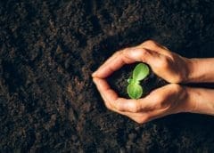 Thumbnail for Diageo India launches regenerative agriculture initiative to cut carbon emissions and water use
