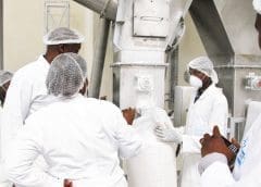 Thumbnail for Rwanda to inject US$1.8m in revamp of Kinazi Cassava Processing plant to boost production