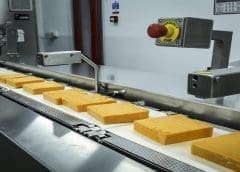 Thumbnail for Belton Farm invests US$1.73m in construction of cheese packing facility