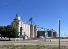 Thumbnail for Scoular acquires four ADM Facilities, doubles handling and storage capacity