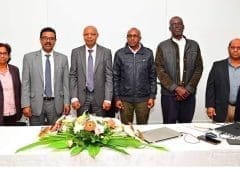 Thumbnail for Mauritius tea industry benefits from Kenyan expertise on production of the green gold