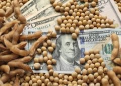 Thumbnail for Landus, Consus form grain marketing partnership