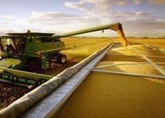 Thumbnail for #Dairy Innovation Monday: New launches from Brookside, Ghanaian unit Voltic Limited, Cold Stone Creamery, Norseland