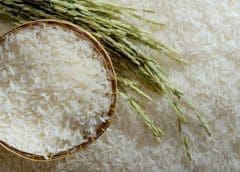 Thumbnail for India restricts rice exports as commodity prices surge