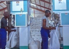 Thumbnail for Commodity trader AFEX inaugurates multi-grain processing plant, storage unit in Nigeria