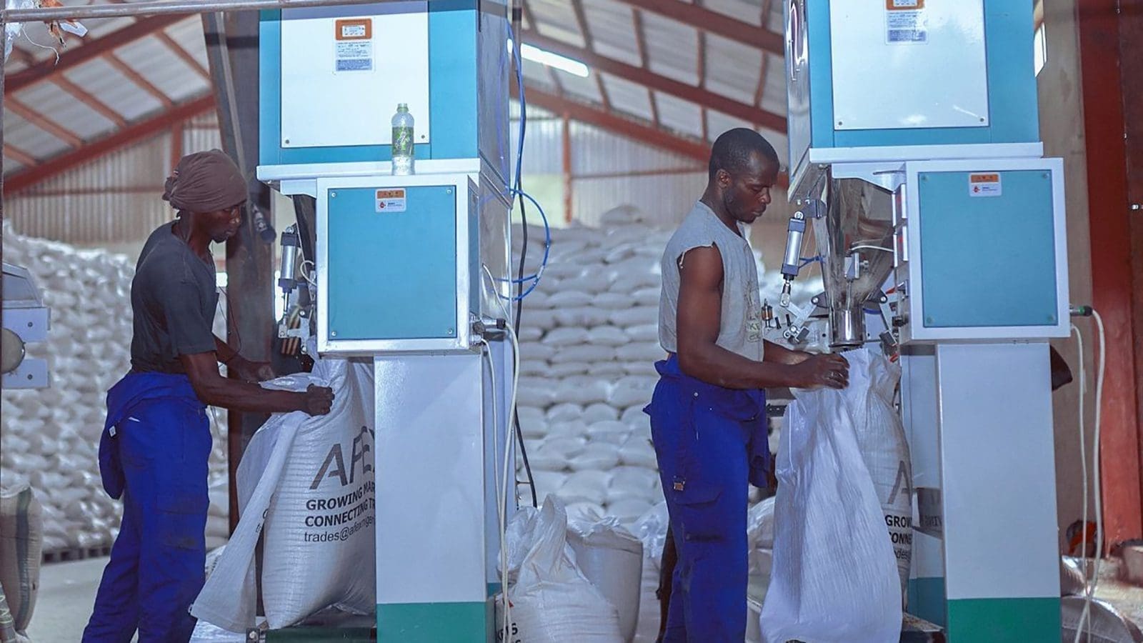 Thumbnail for Commodity trader AFEX inaugurates multi-grain processing plant, storage unit in Nigeria