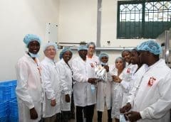Thumbnail for Burton and Bamber partners with CIP to launch East Africa’s first aseptic orange-fleshed sweet potato puree processing unit