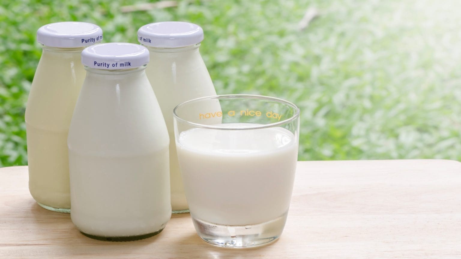 Naturo’s milk processing technology offers higher digestibility of milk ...